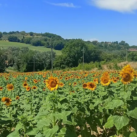 Lejlighed Romantic In The Village Of Castelleone, Vicino Deruta, Assisi, Perugia, Montefalco